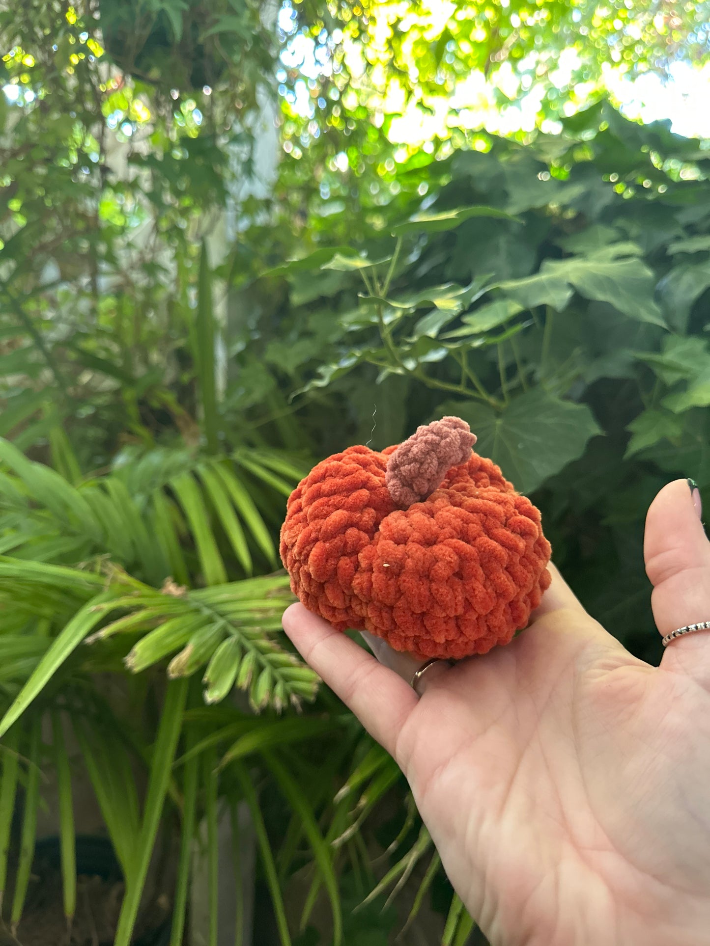 Micro pumpkin