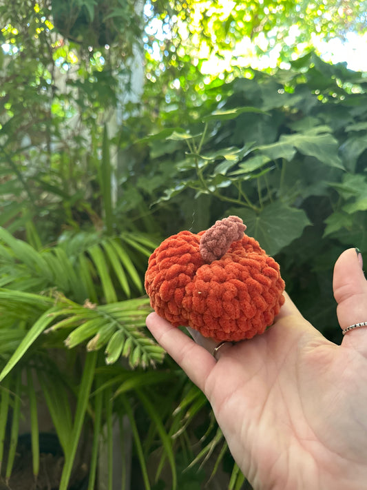 Micro pumpkin